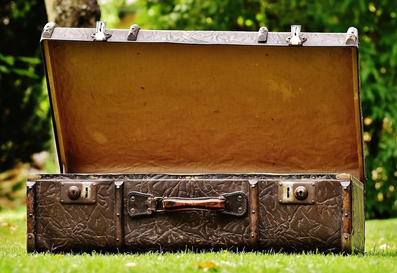 Vintage suitcase shelves